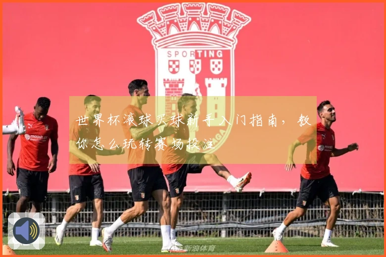 世界杯滚球买球新手入门指南，教你怎么玩转赛场投注