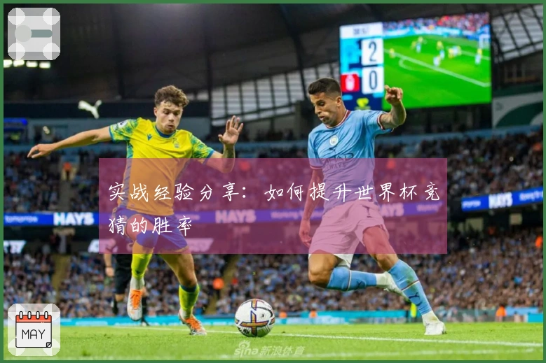 实战经验分享：如何提升世界杯竞猜的胜率