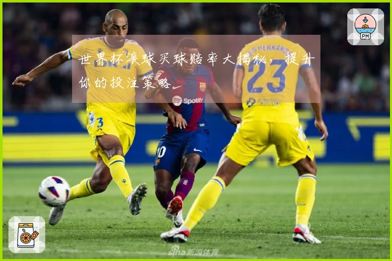 世界杯滚球买球赔率大揭秘，提升你的投注策略