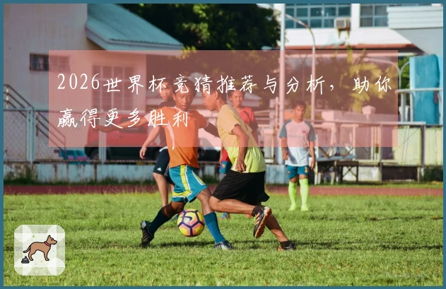 2026世界杯竞猜推荐与分析，助你赢得更多胜利