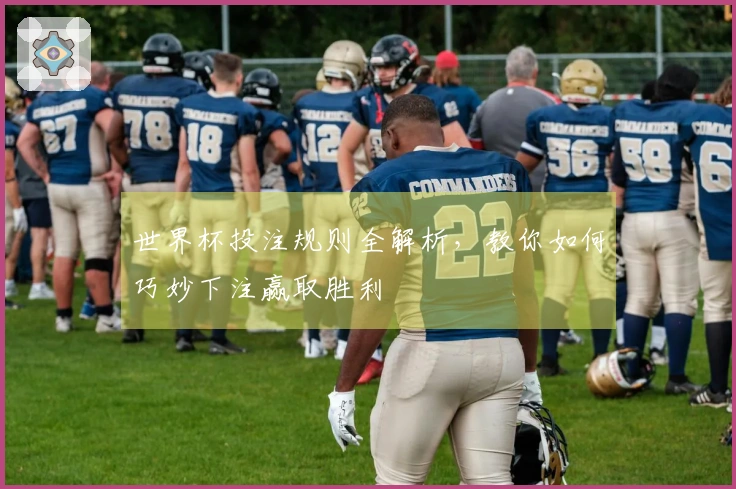 世界杯投注规则全解析，教你如何巧妙下注赢取胜利