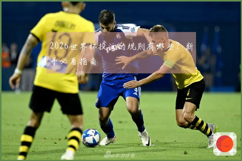 2026世界杯投注的规则有哪些？新手必看指南