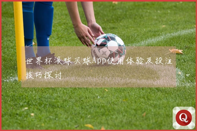 世界杯滚球买球App使用体验及投注技巧探讨