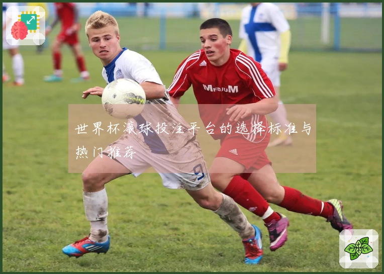 世界杯滚球投注平台的选择标准与热门推荐