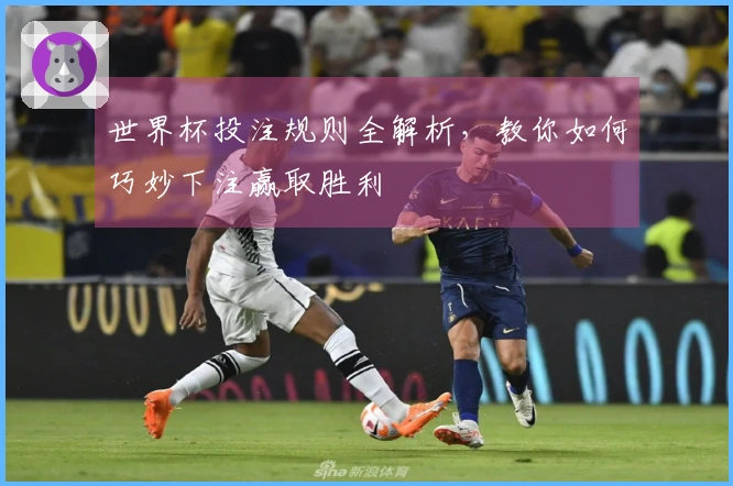 世界杯投注规则全解析，教你如何巧妙下注赢取胜利