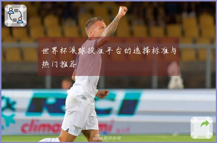 世界杯滚球投注平台的选择标准与热门推荐
