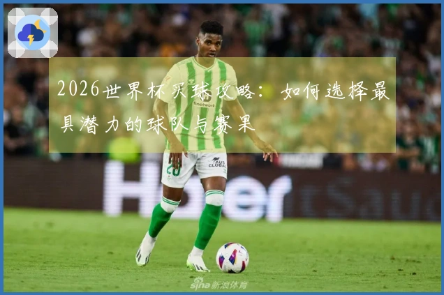 2026世界杯买球攻略：如何选择最具潜力的球队与赛果
